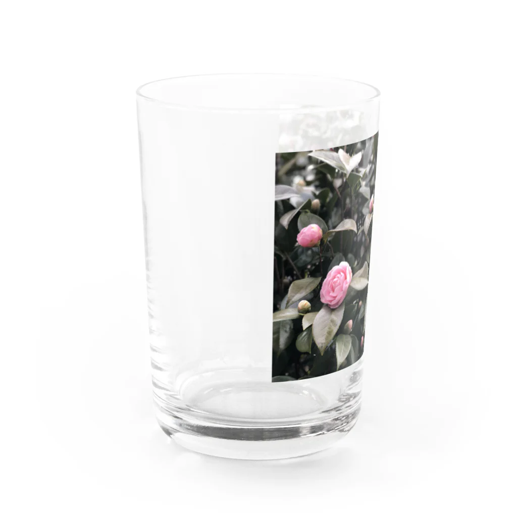 癒しの休日の春 Water Glass :left