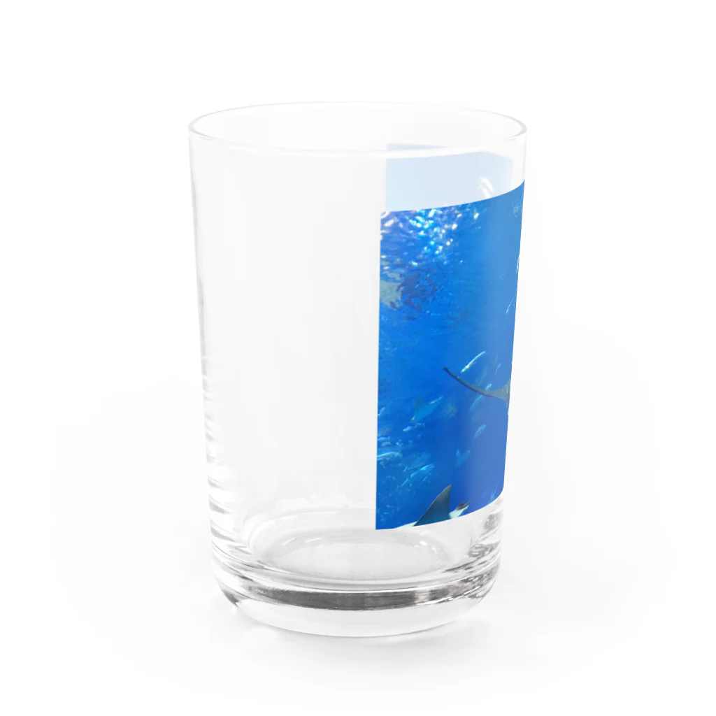 TENSHONのジンベイザメ Water Glass :left