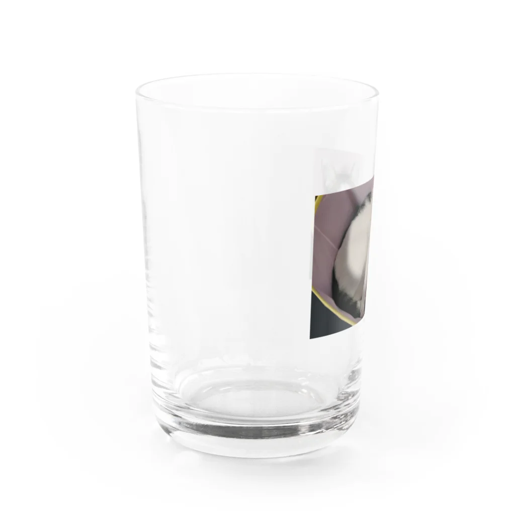 たまたまたまたまのキクちゃん Water Glass :left