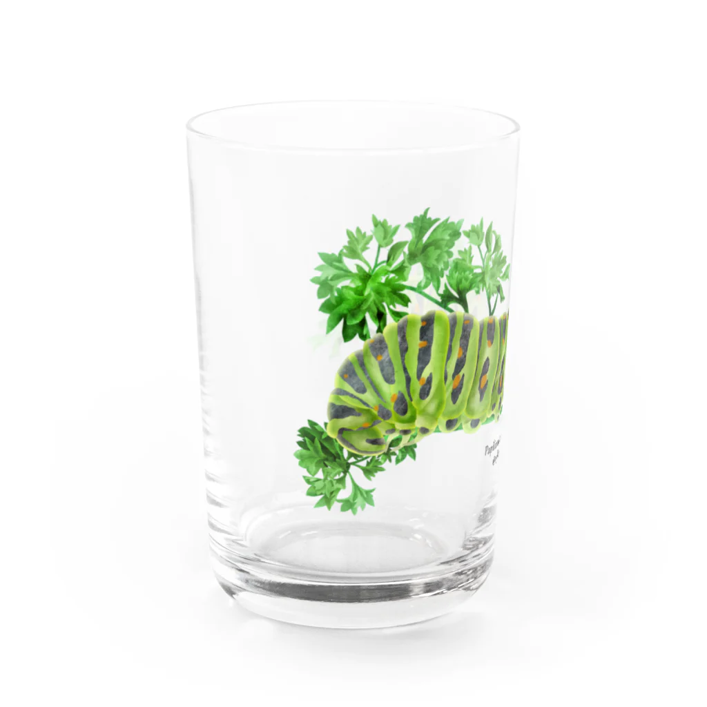 OJIKのキアゲハイモムシ Water Glass :left