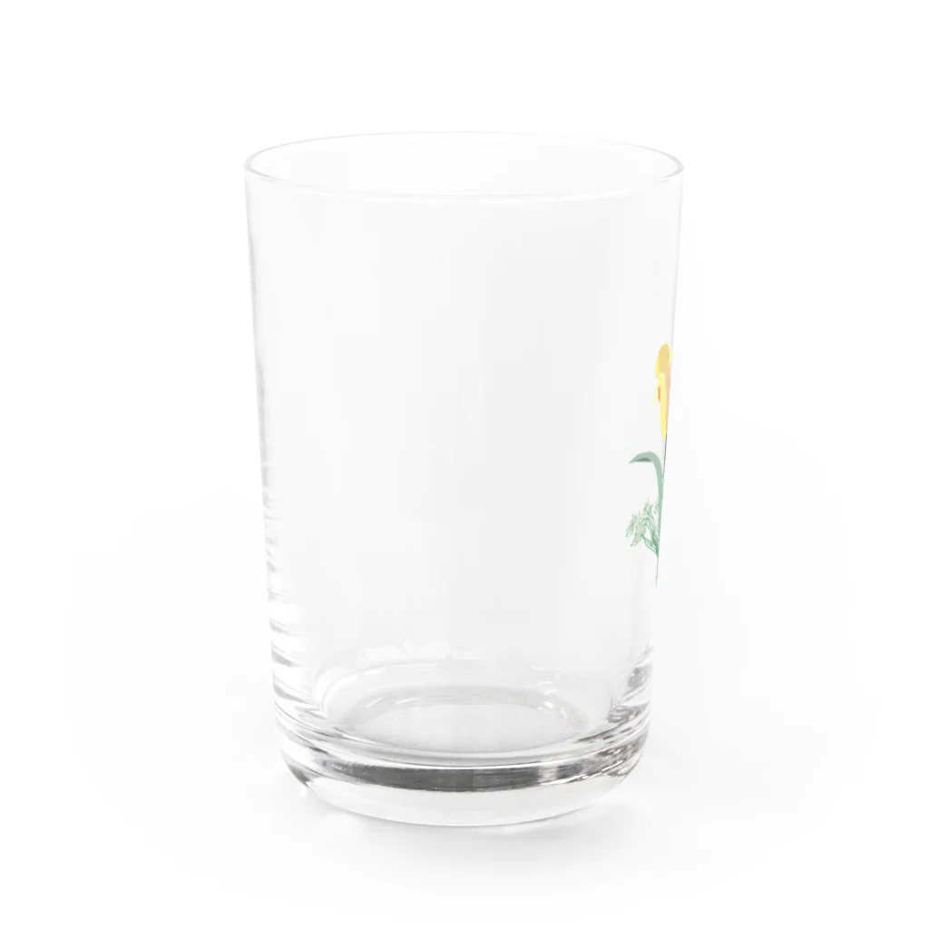 polka polkaのチューリップと麦とレースフラワー。 Water Glass :left