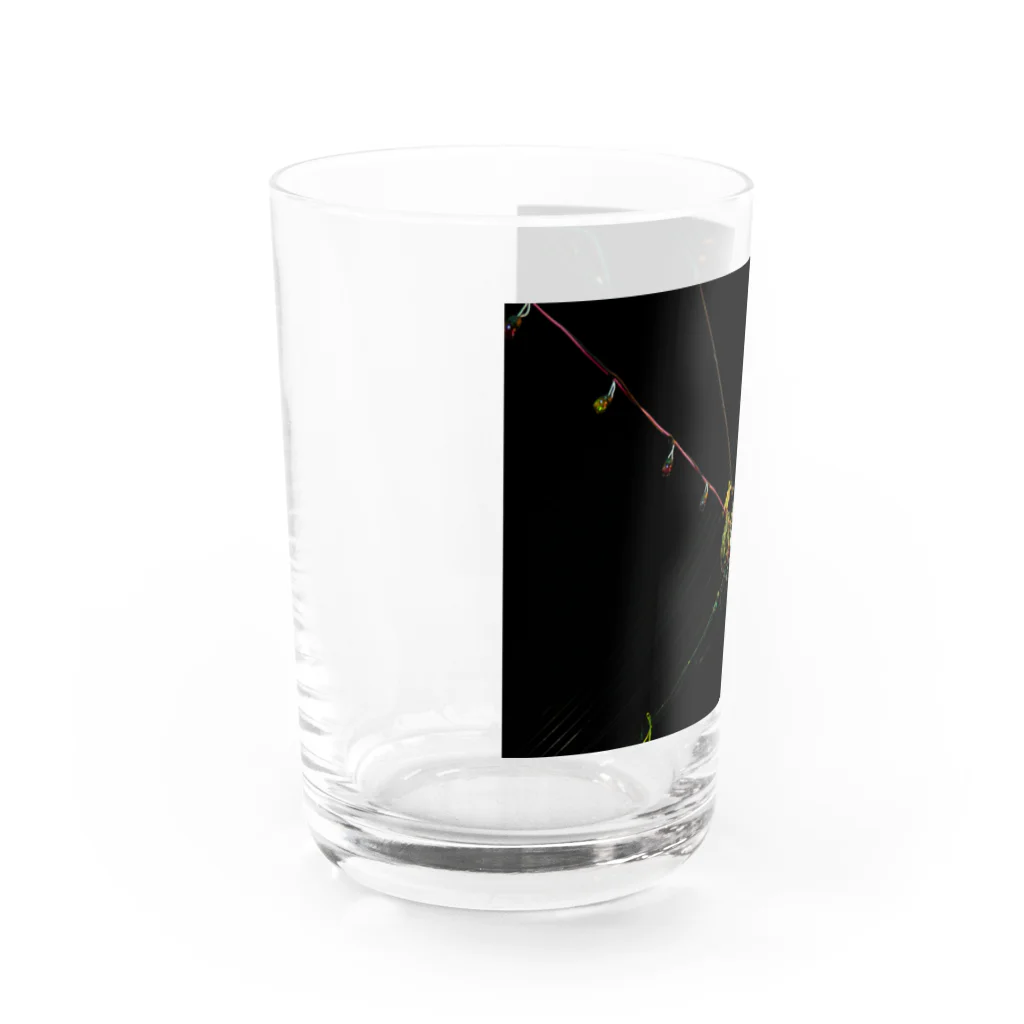 石山蓮華のタイの花市場の電線 Water Glass :left