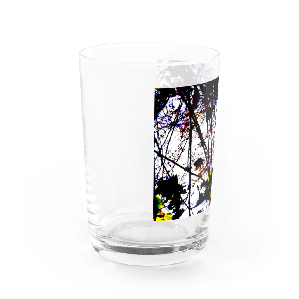 Exit153の色めく紅葉 Water Glass :left