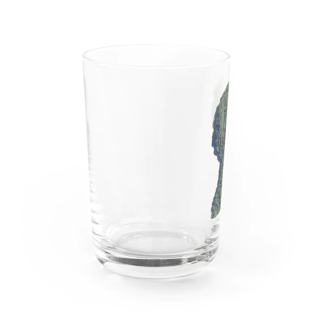 安里アンリの古墳グッズ屋さんの箸墓古墳（シンプルver.) Water Glass :left