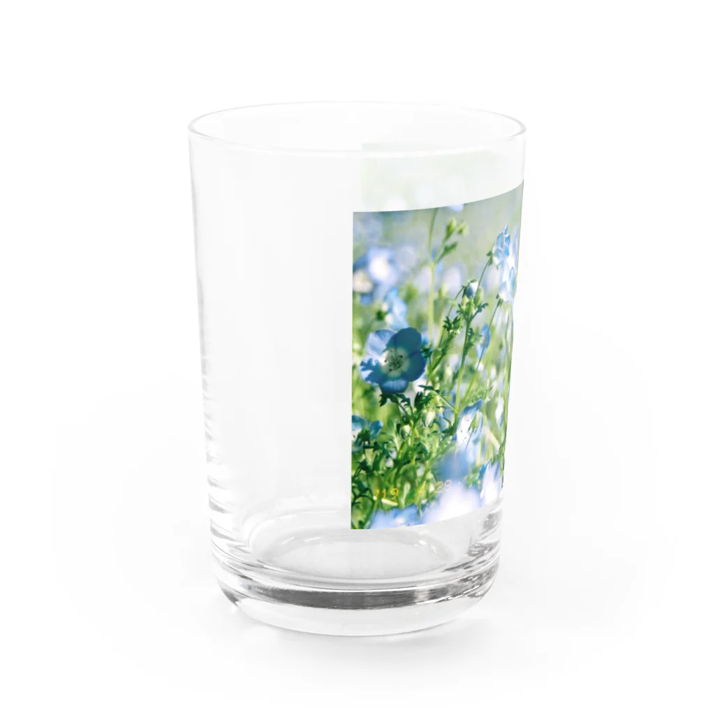 はち / きまぐれハチログのフィルム 青の花ネモフィラ Water Glass :left