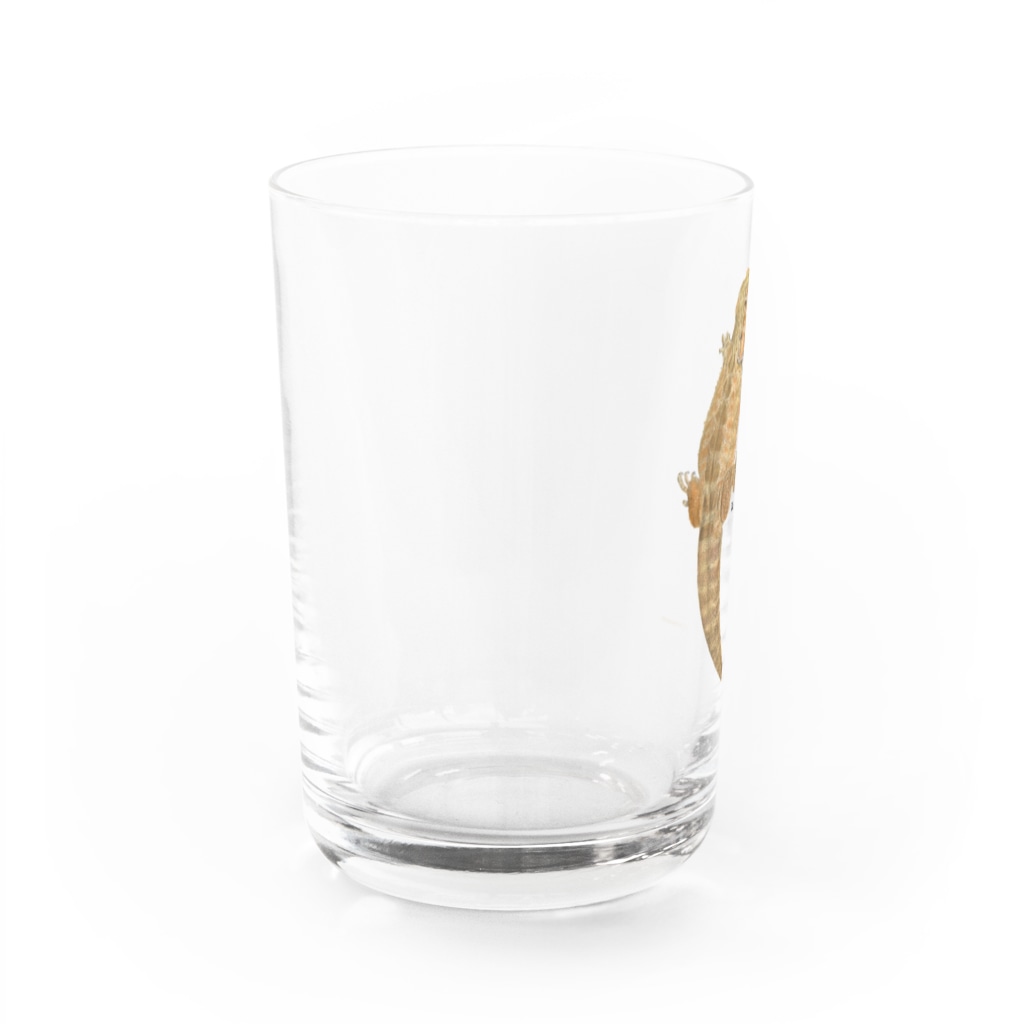 EmiriA artのひっつきフトアゴ Water Glass :left