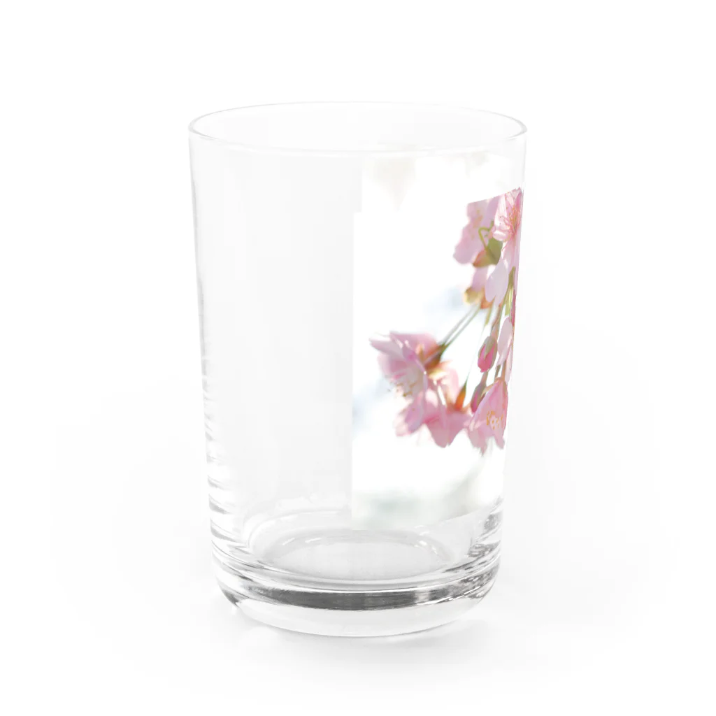 はち / きまぐれハチログのさくら Water Glass :left