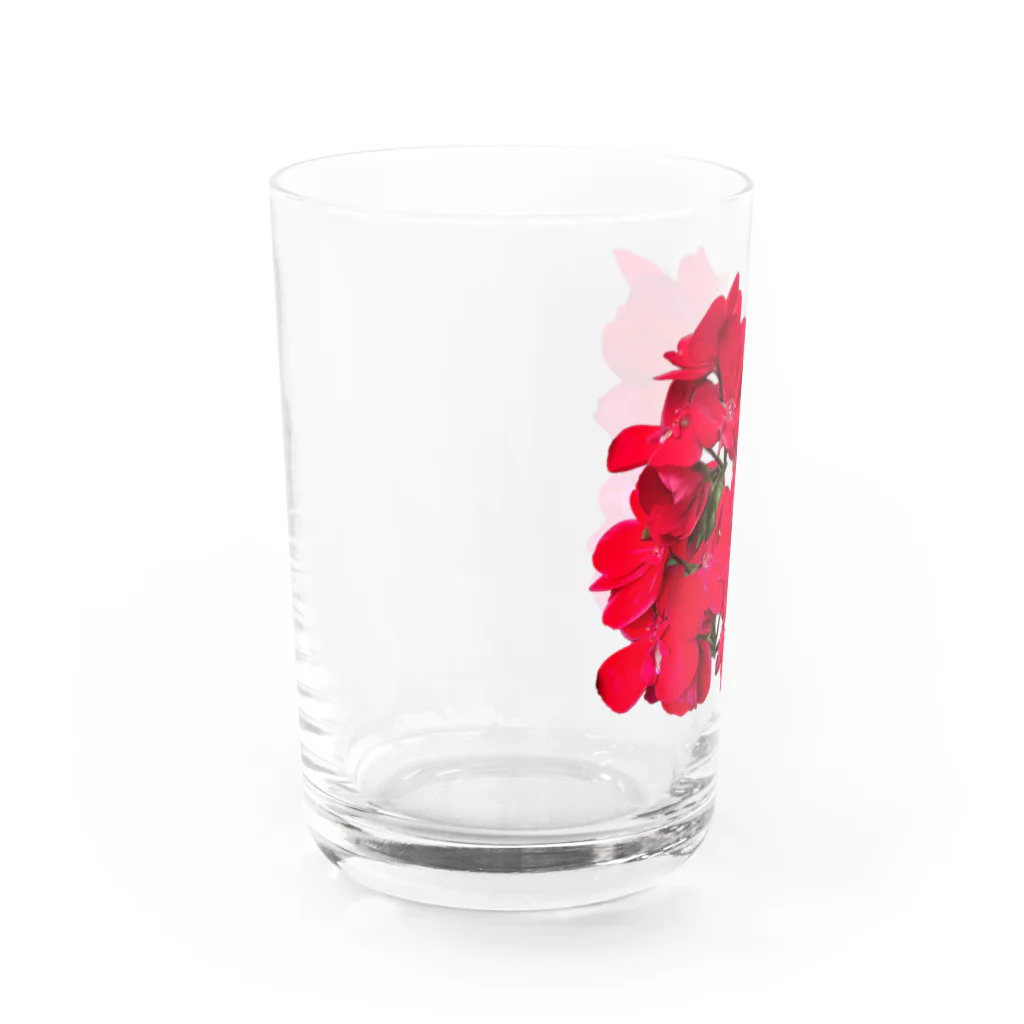 lisz-marketのゼラニウムさん Water Glass :left