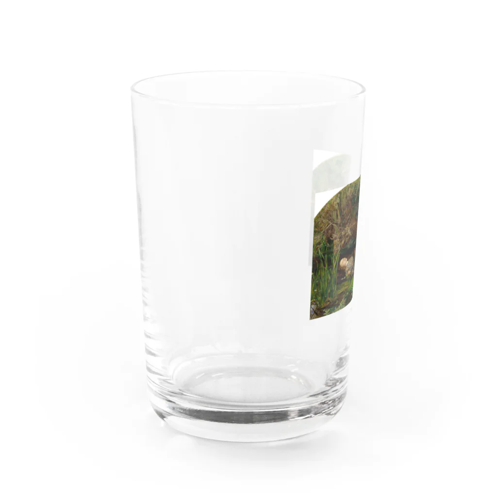 SacredのOphelia Water Glass :left