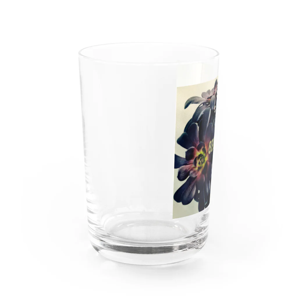 8PIXELの黒法師 Water Glass :left