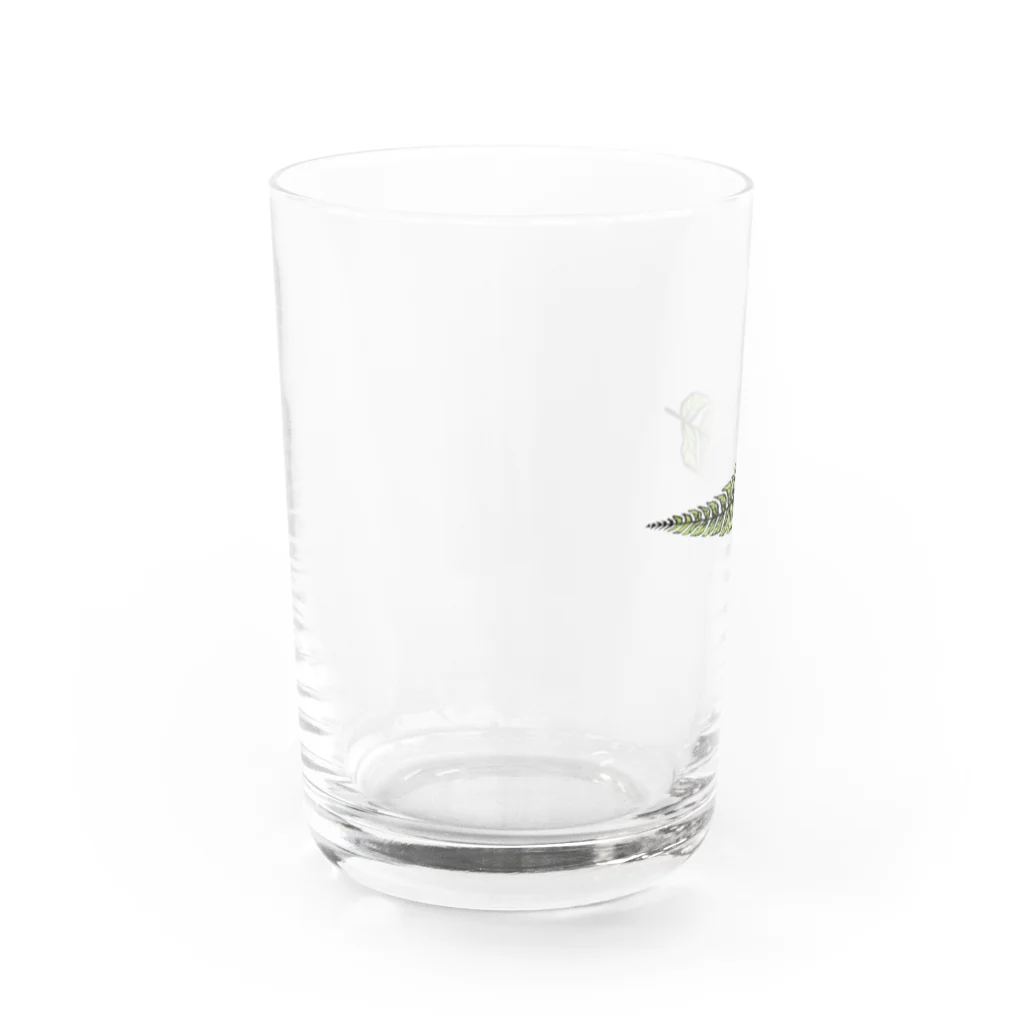 描く撮るのシダ植物 Water Glass :left