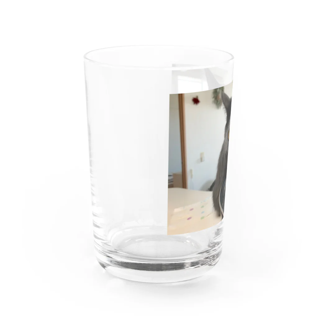 proneet experienceの強力粉150グラム薄力粉50グラム Water Glass :left