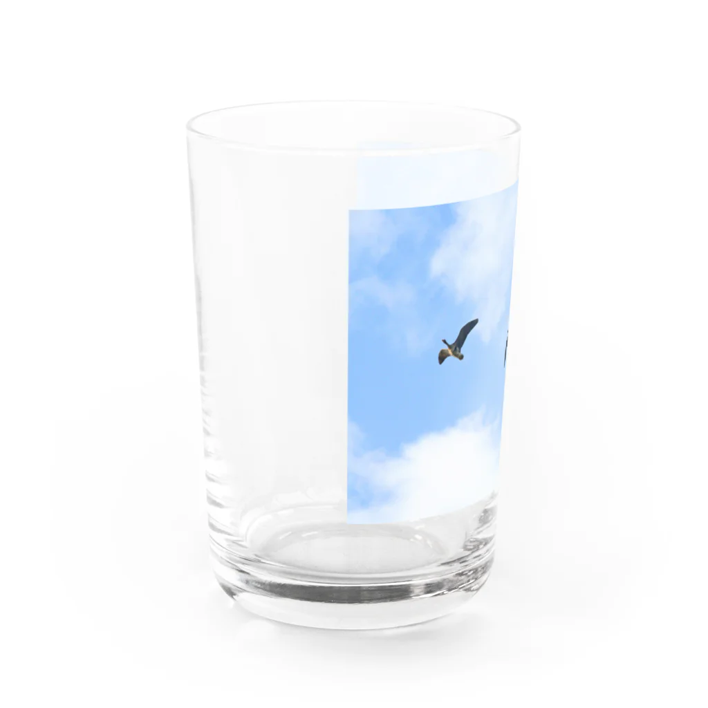 雁花工房（寄付アイテム販売中です）のマガン飛翔３羽 Water Glass :left