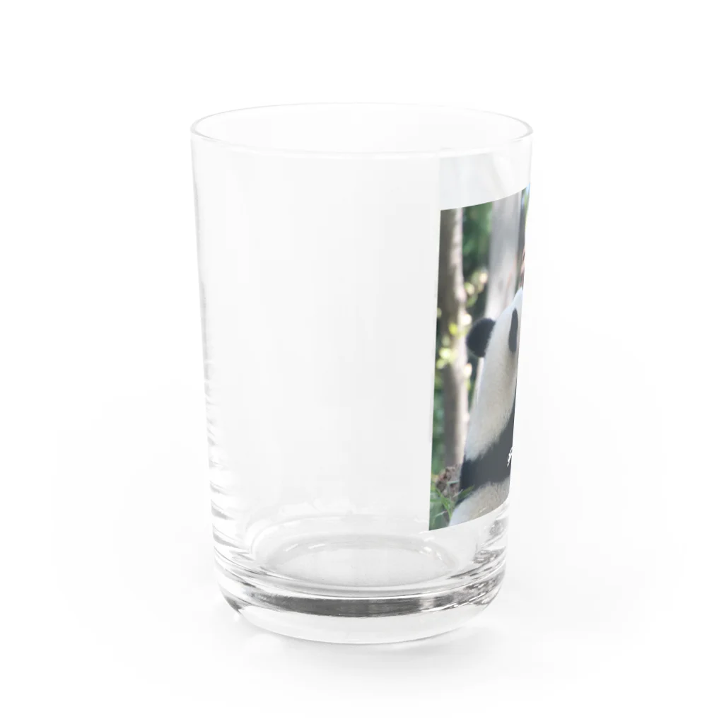 gackeyの背伸び PANDA Water Glass :left