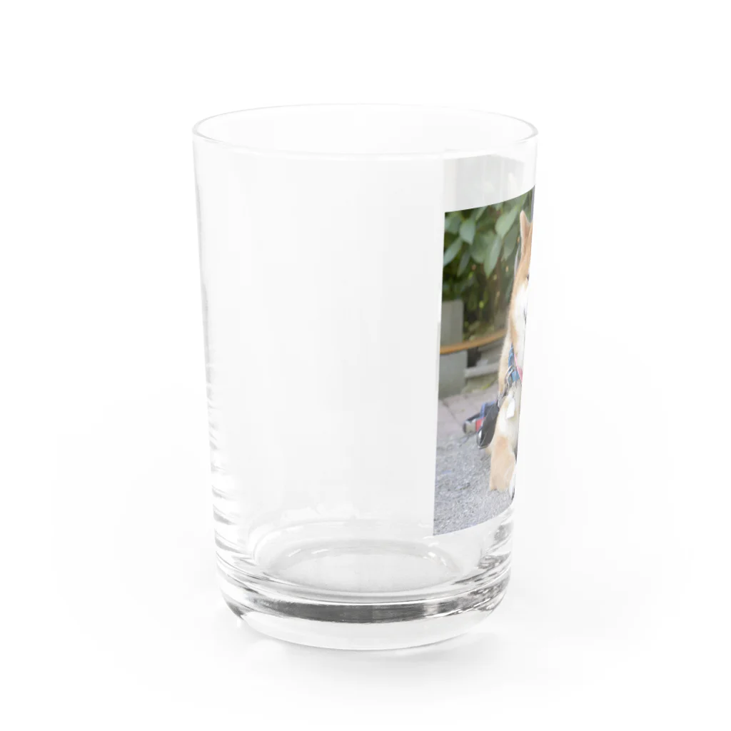 Ryuji513のにやりじ Water Glass :left