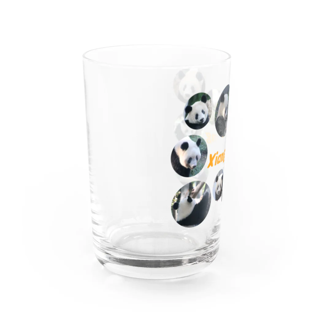 gackeyのシャンシャン メモリー グッズⅢ Water Glass :left