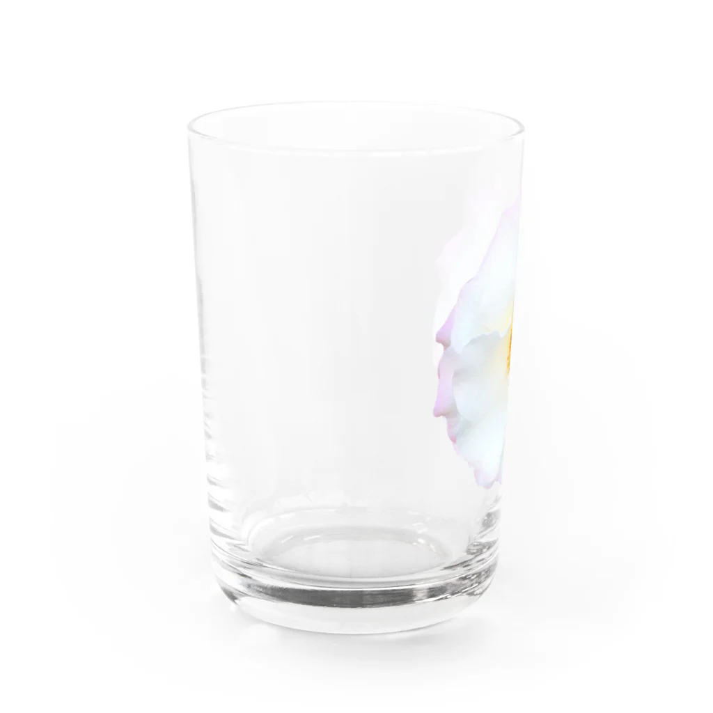 コマタヒチの【可憐】白と薄ピンクと黄色のお花 Water Glass :left