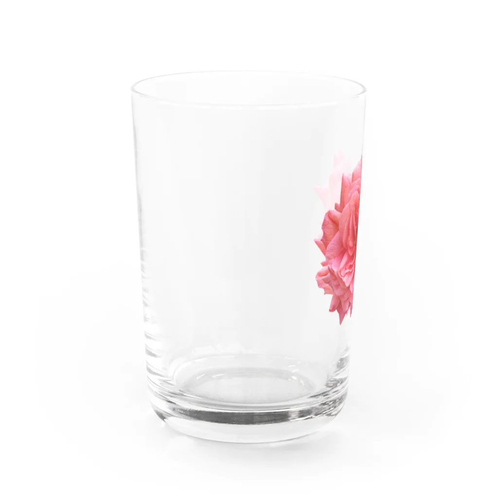 コマタヒチの【キザにキマる】爛々と咲く濃いピンクの薔薇 Water Glass :left