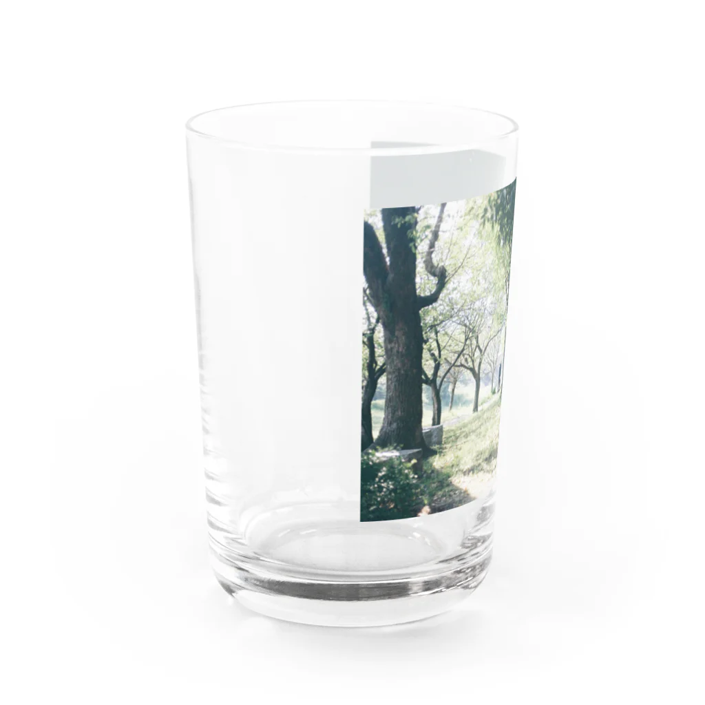 まりぴさんの森 Water Glass :left