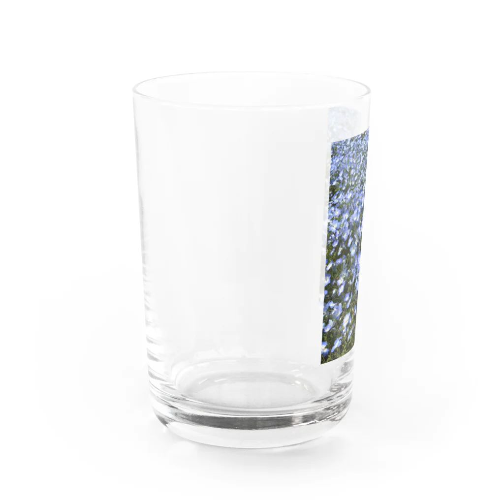 coronblanのネモフィラの咲く頃 Water Glass :left