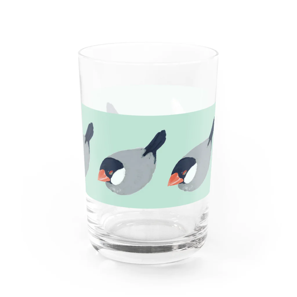 ブンチョのずんだのずらりフクフク文鳥 Water Glass :left