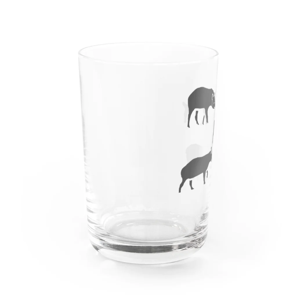 蛇口〆太のお店のバク４種盛り Water Glass :left