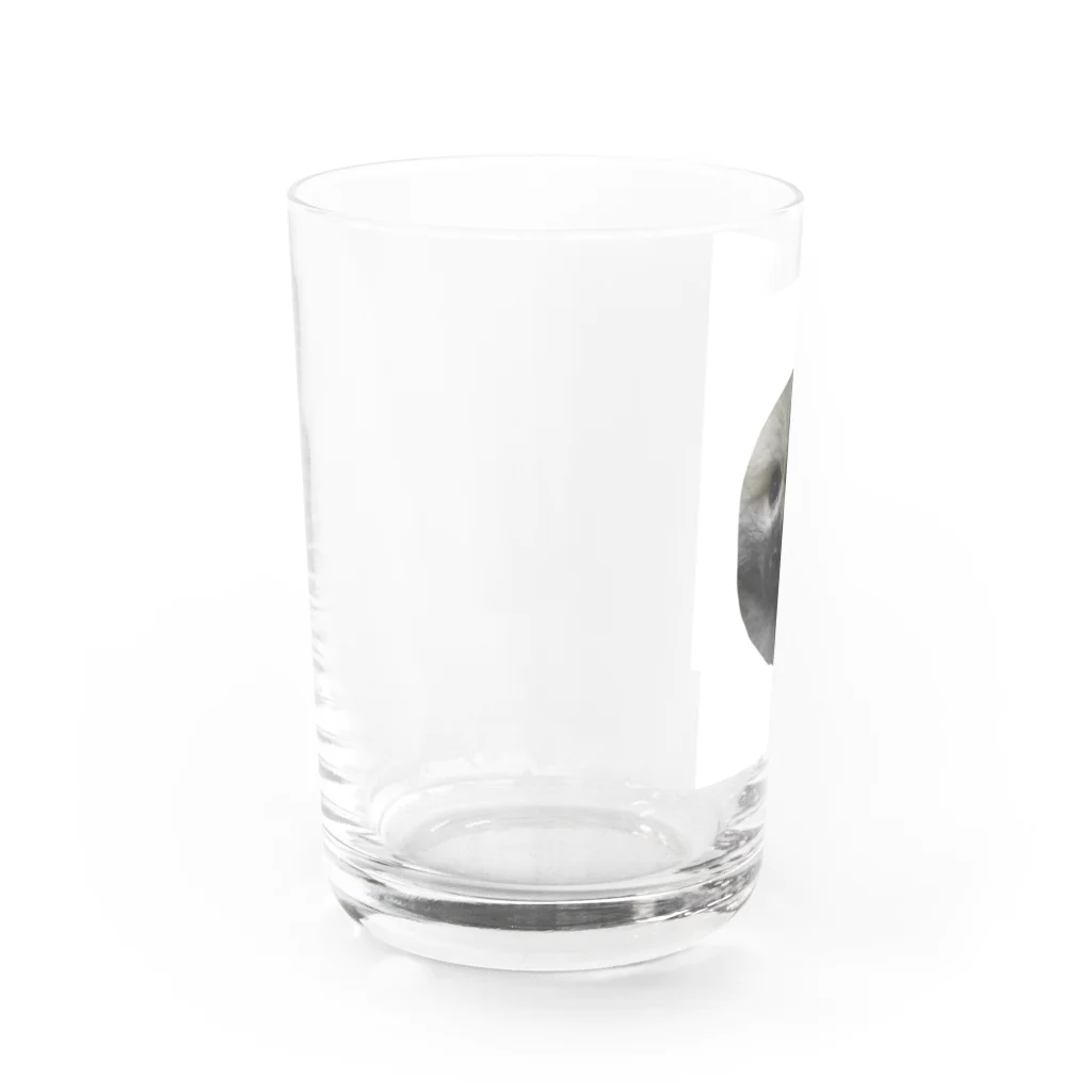 こやま　りなのジャー Water Glass :left