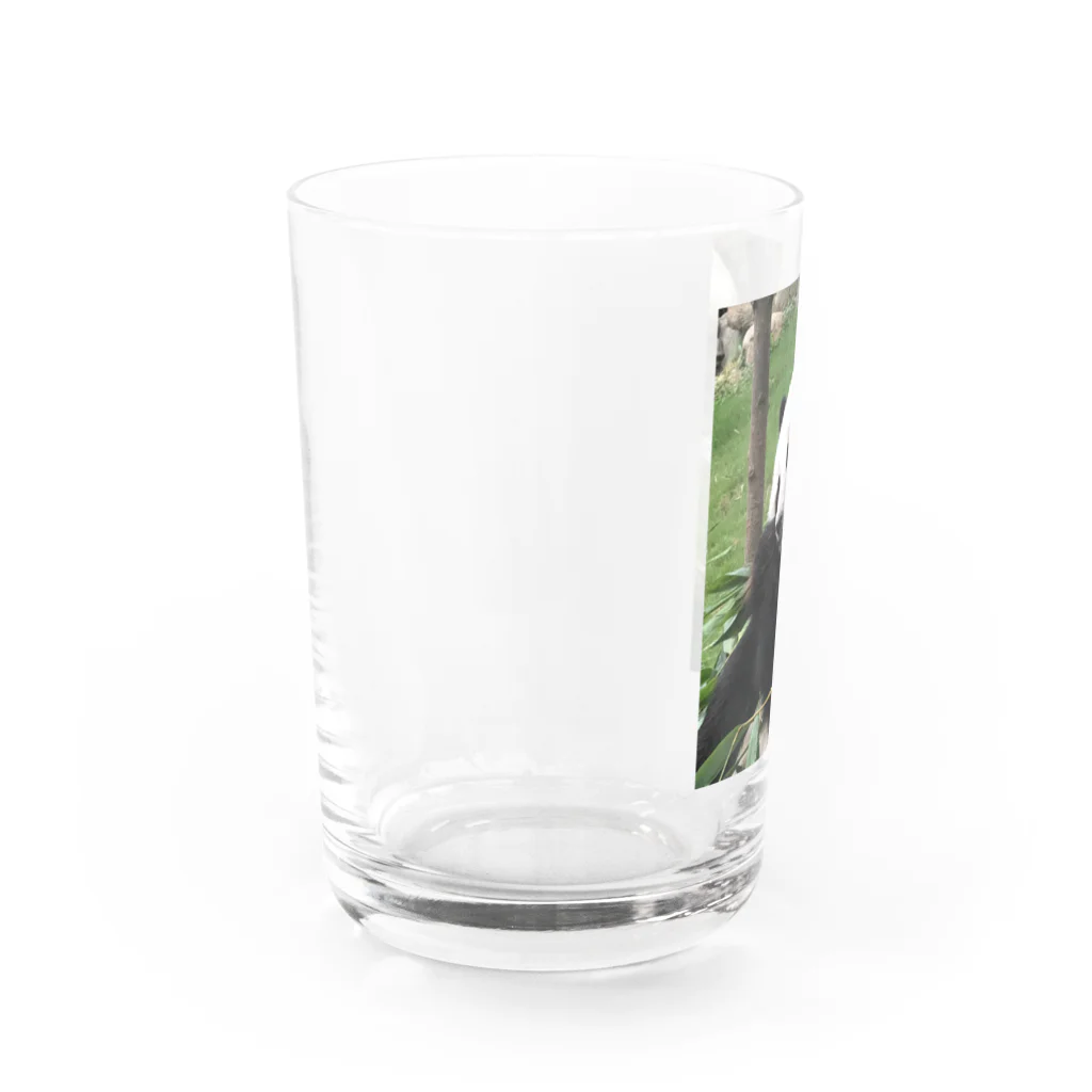 HKG パンダの右奥歯で Water Glass :left