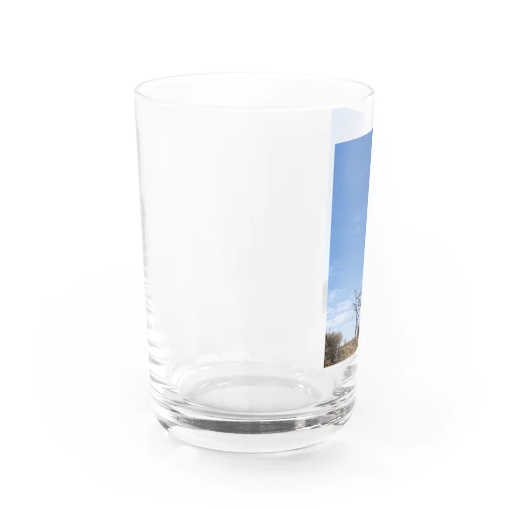 BuBu SHOPのゾウと空 Water Glass :left