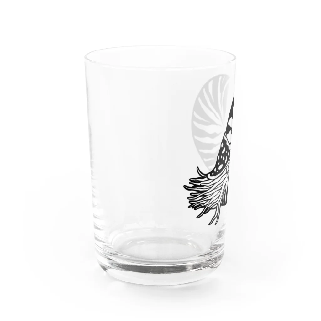 モリタミナミのオウムガイ Water Glass :left