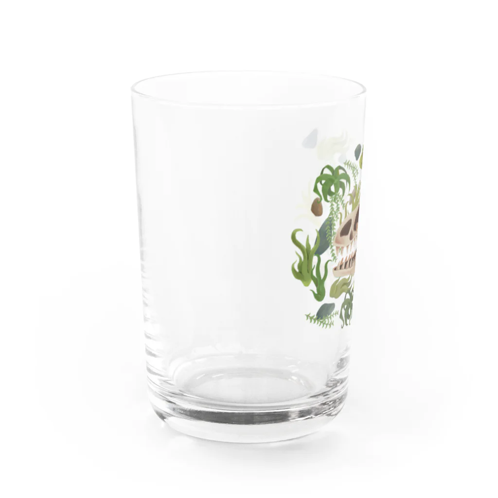 あおきさくらのアロサウルス頭骨 Water Glass :left