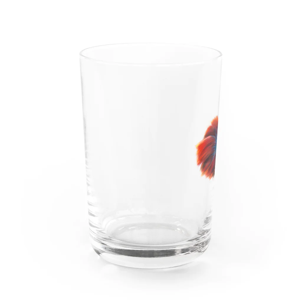 mahoの青ベタちゃん Water Glass :left