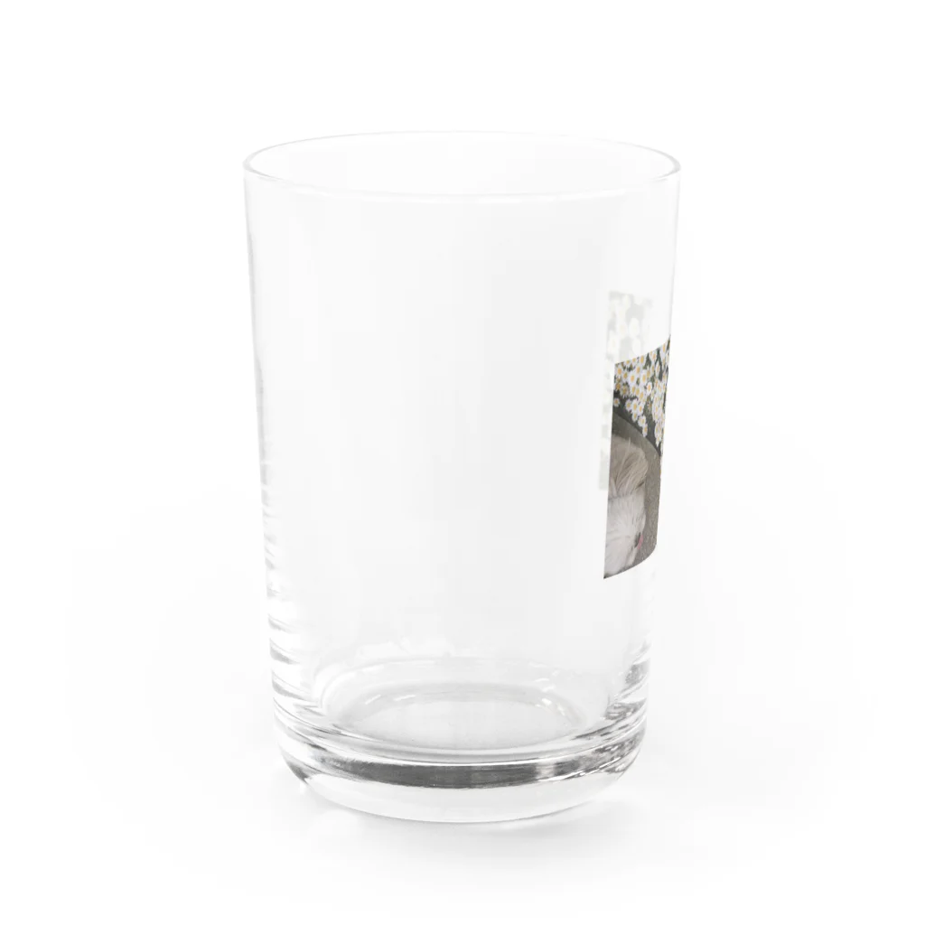 she is meのshe is u(実写版) Water Glass :left