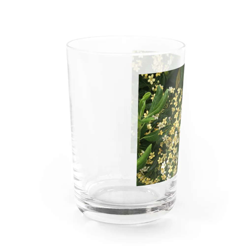 ambleuki  アクセサリーのはるのはな Water Glass :left