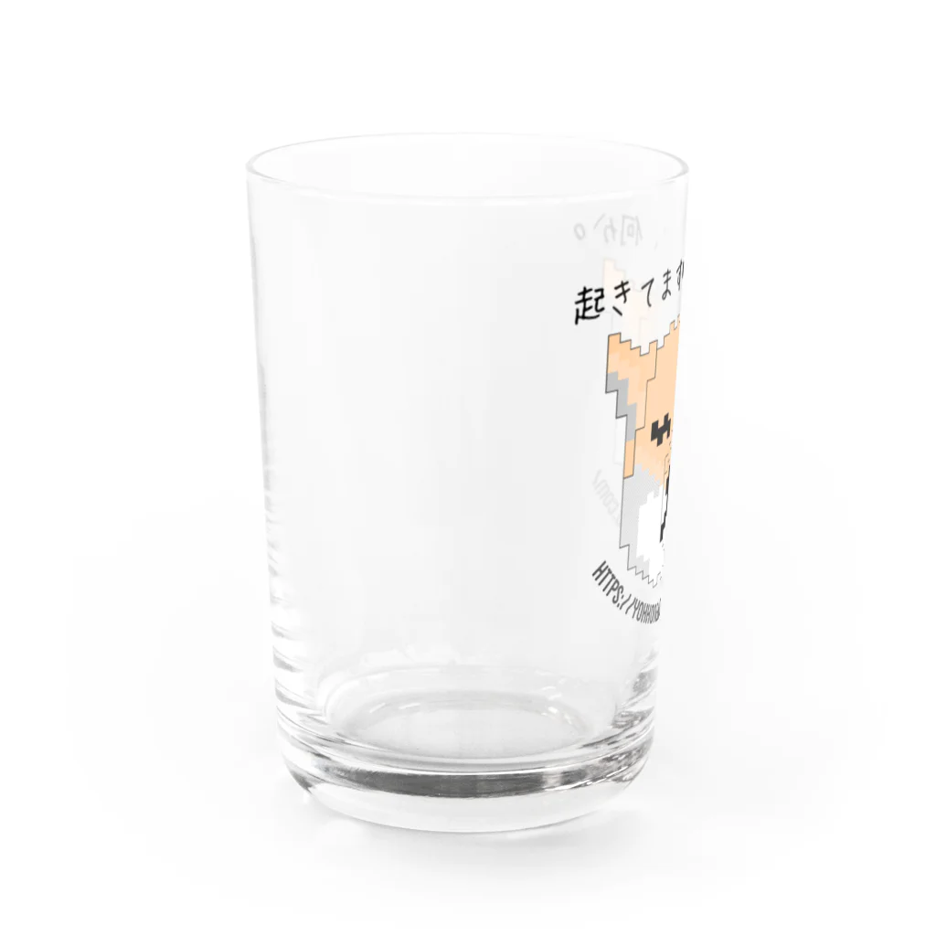 千客万来ねこ日和のチベスナくん 1号 Water Glass :left