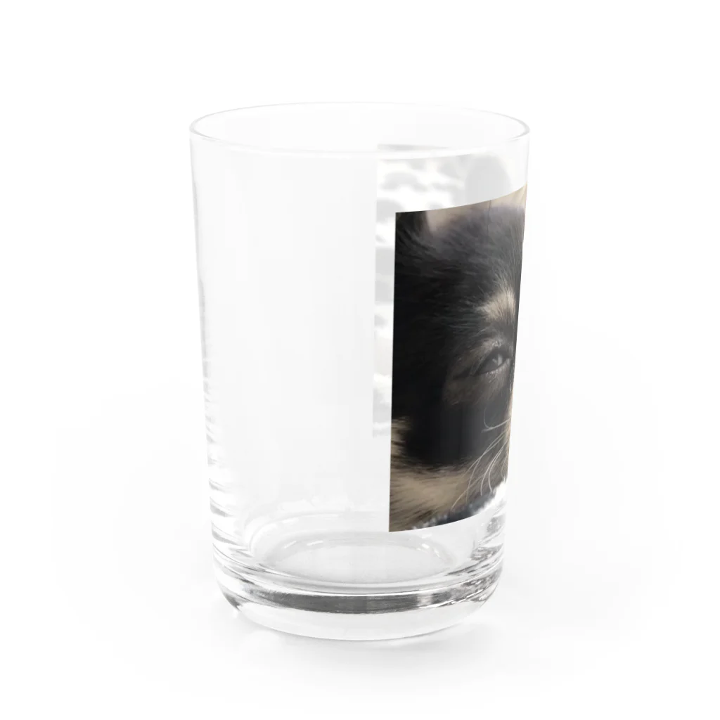 kuwaggのクー（目瞑ってる） Water Glass :left