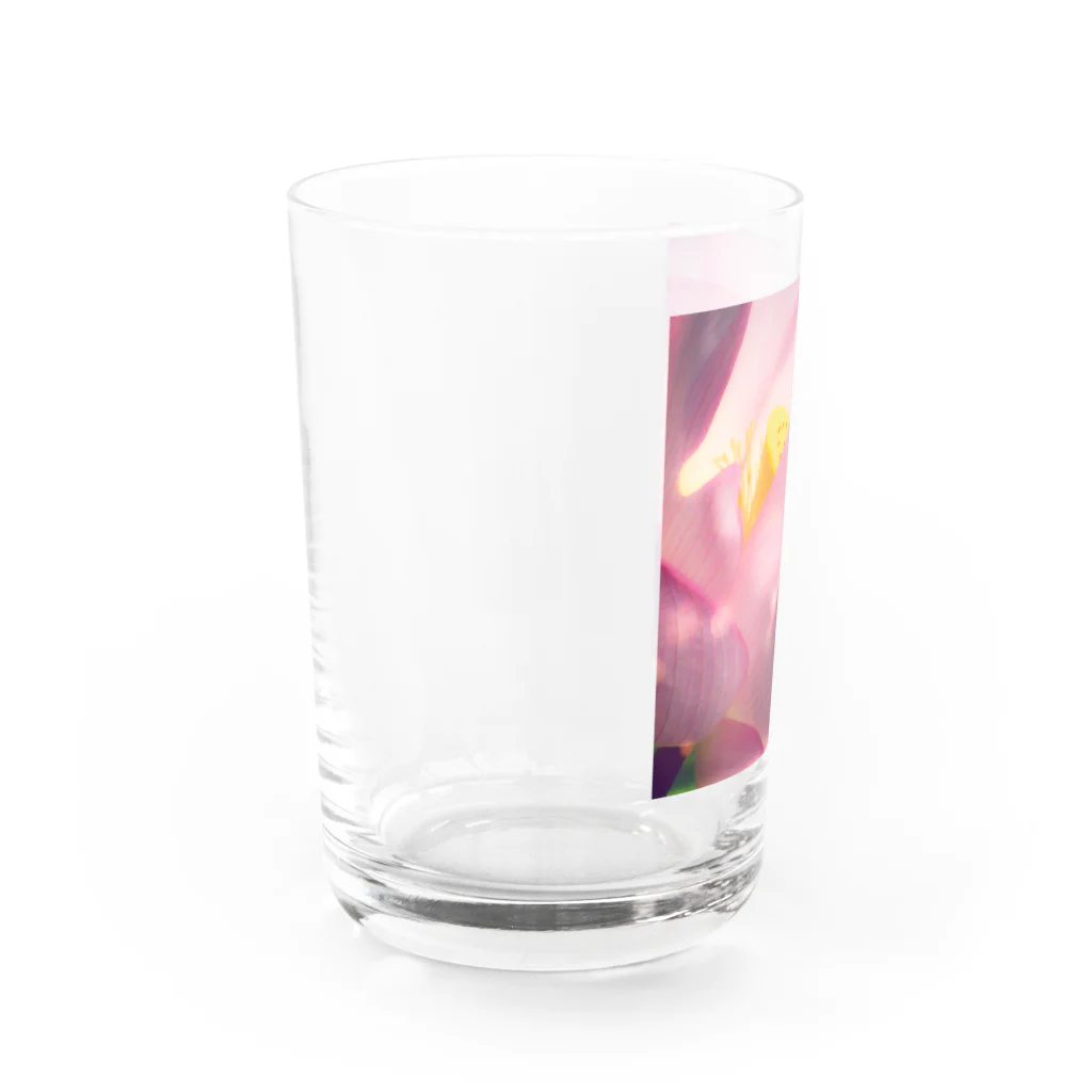 suparnaの蓮の花咲くとき Water Glass :left