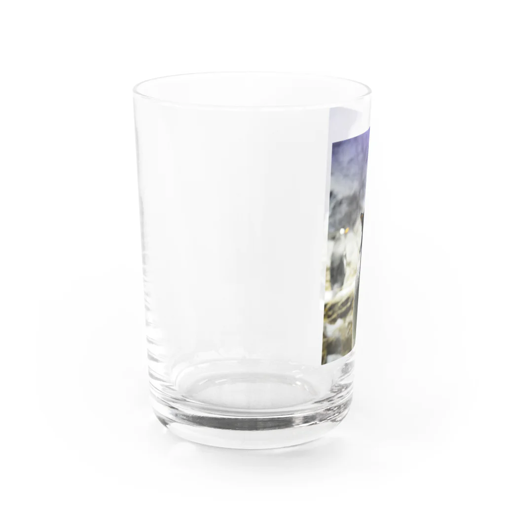 オモちーりオモちーりのペンギンのコップ Water Glass :left