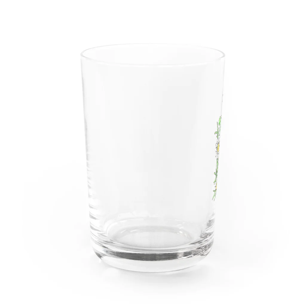 chihaのハーブグラス【カモミール】 Water Glass :left