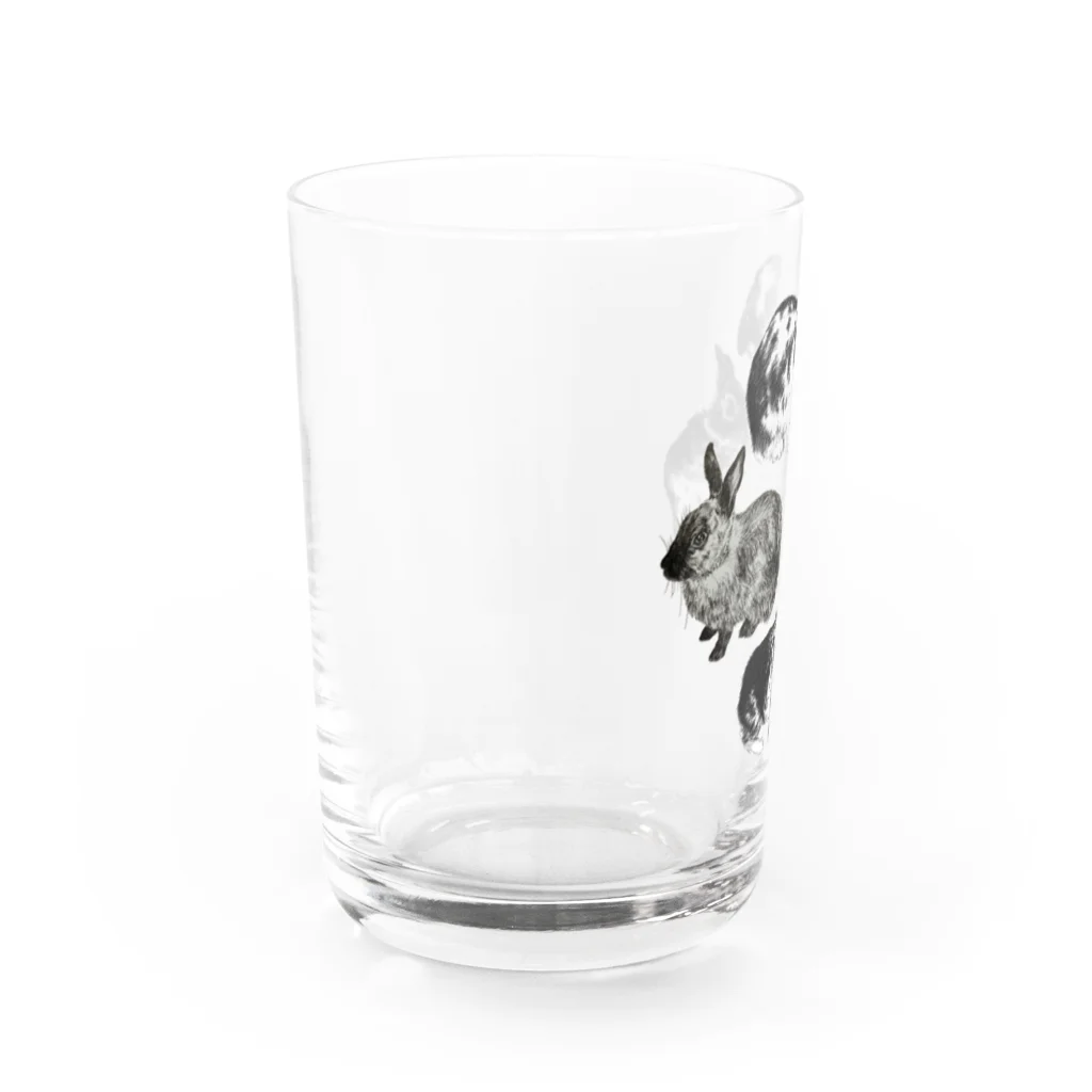 Gallery Neperoのうさぎ環 Water Glass :left