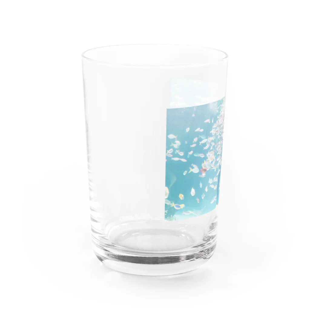 あざらしの水族館 Water Glass :left