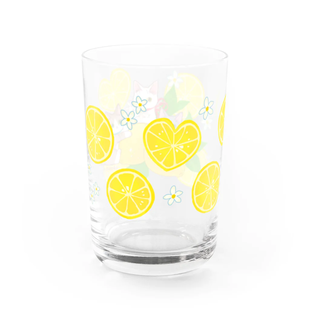 たたメーピーのたたメーピー 〈レモンとにゃんたち🍋🐈〉 Water Glass :left