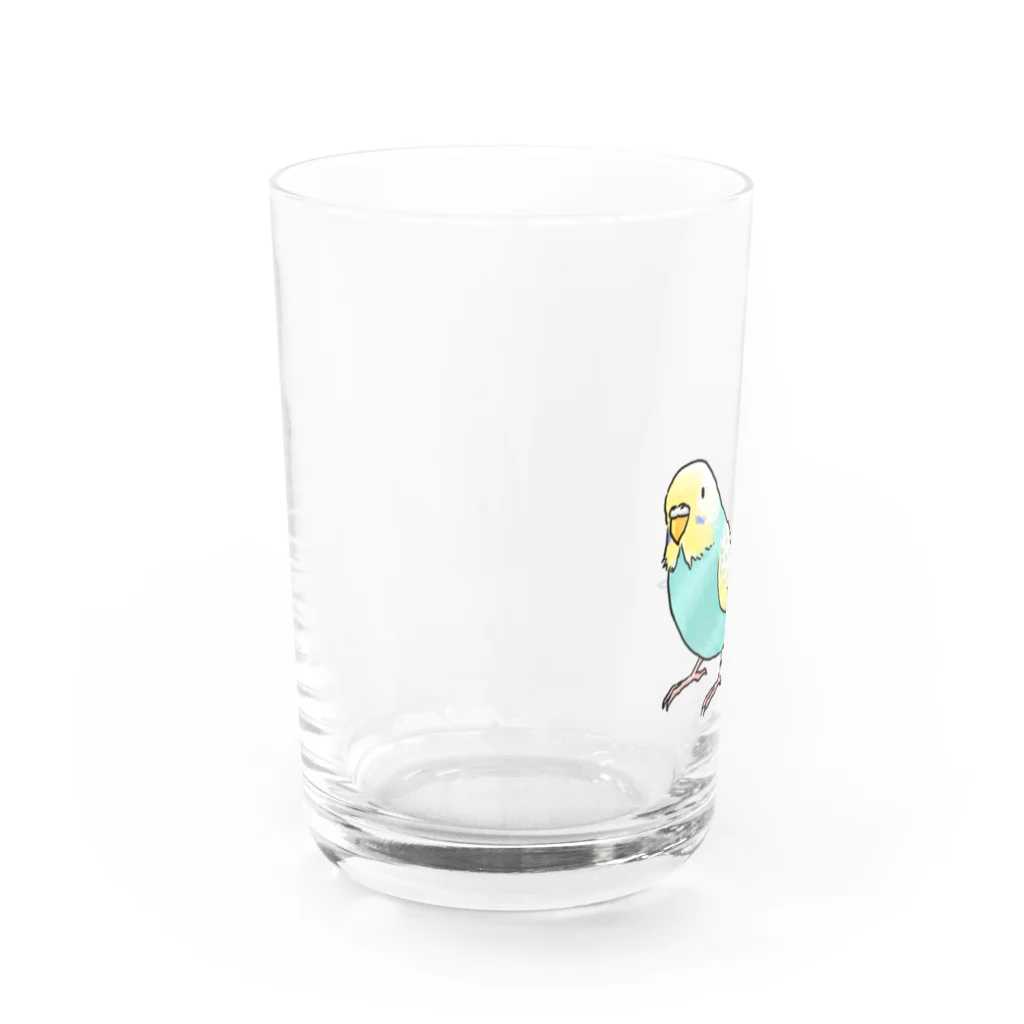 まめるりはことりのごきげんセキセイインコ【まめるりはことり】 Water Glass :left