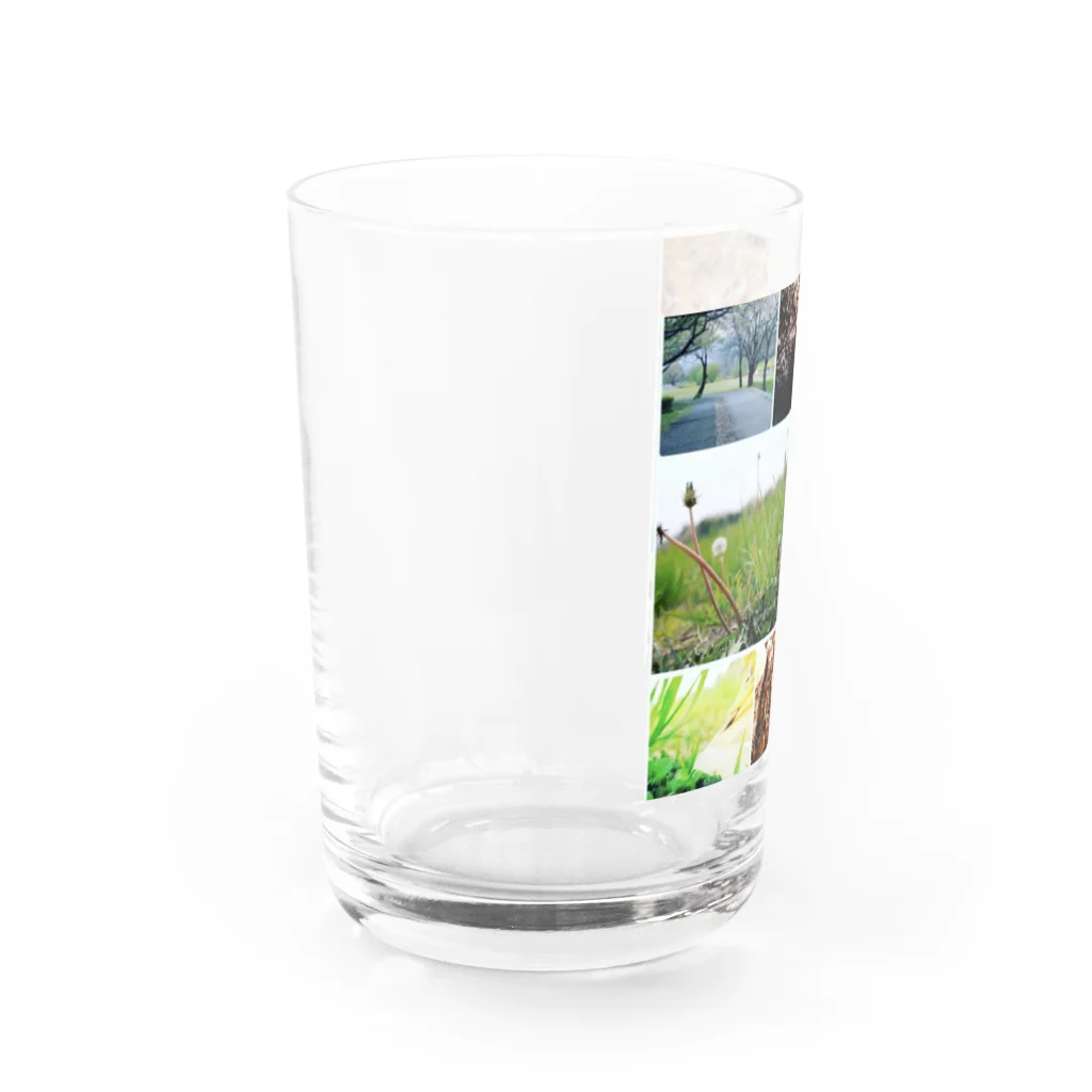 はぬんのここがどこかしってる？ Water Glass :left