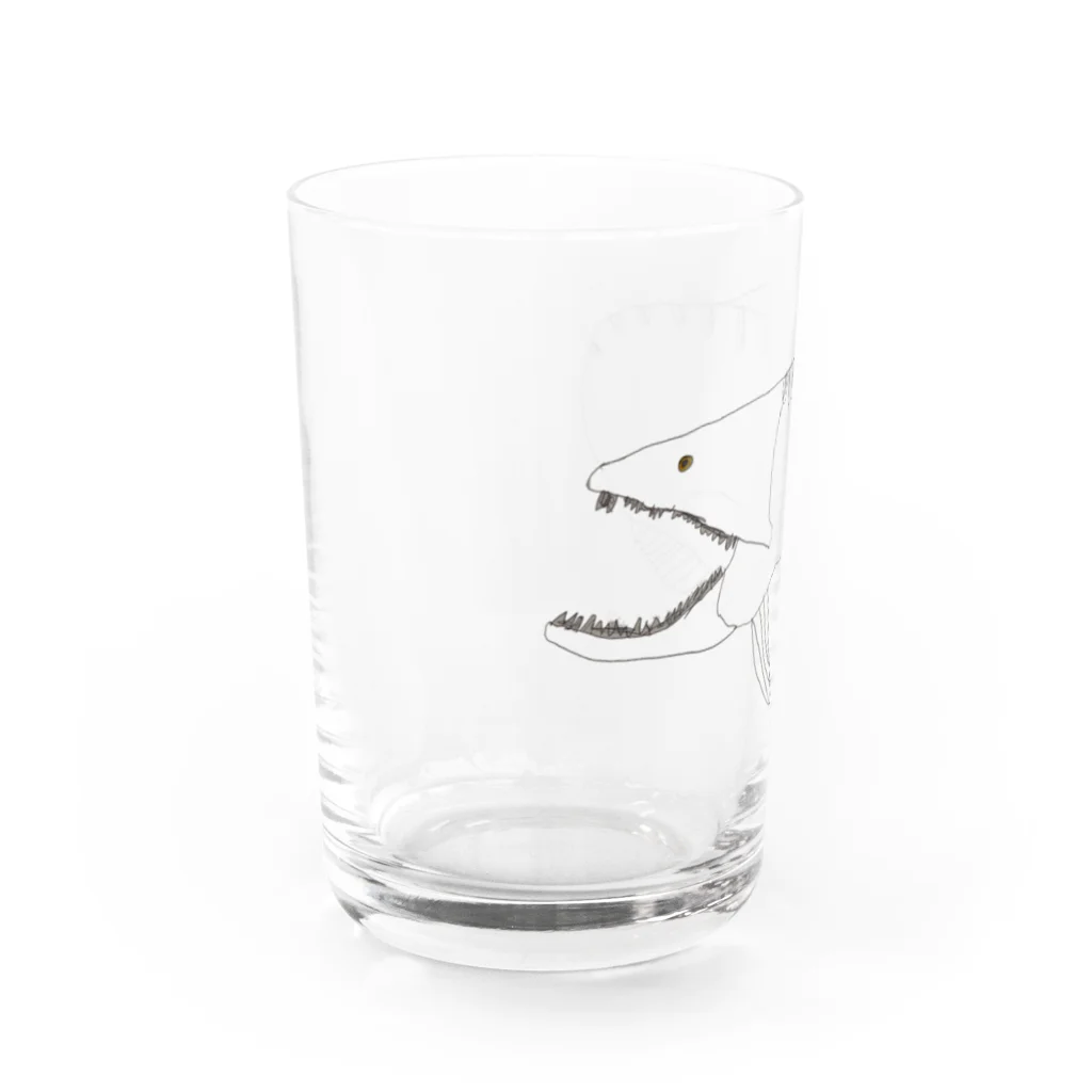Kブラザーズのダンクルオステウスくん Water Glass :left