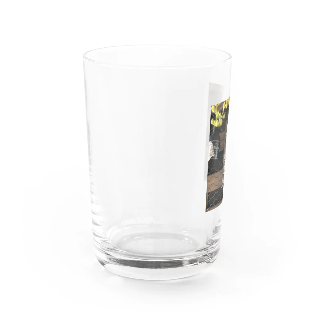 full  of funのカフェ風クリップボード（ブラック） Water Glass :left