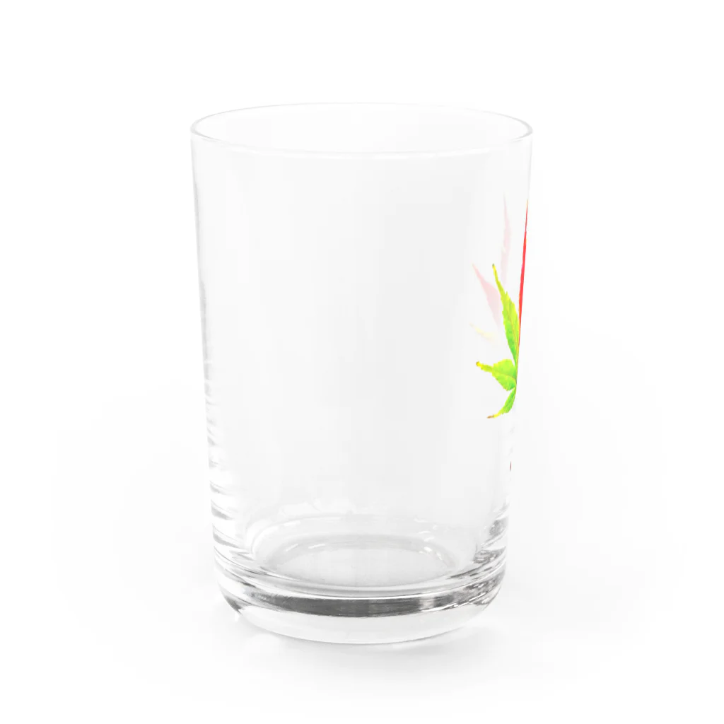 ryota@音楽/絵/英語/笑顔/猫/読書の紅葉経過中 Water Glass :left