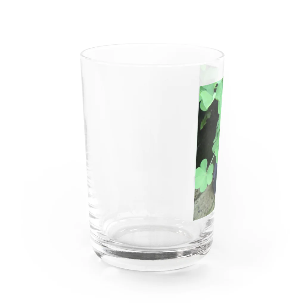 ToRaMiの幸せの四葉のクローバー Water Glass :left