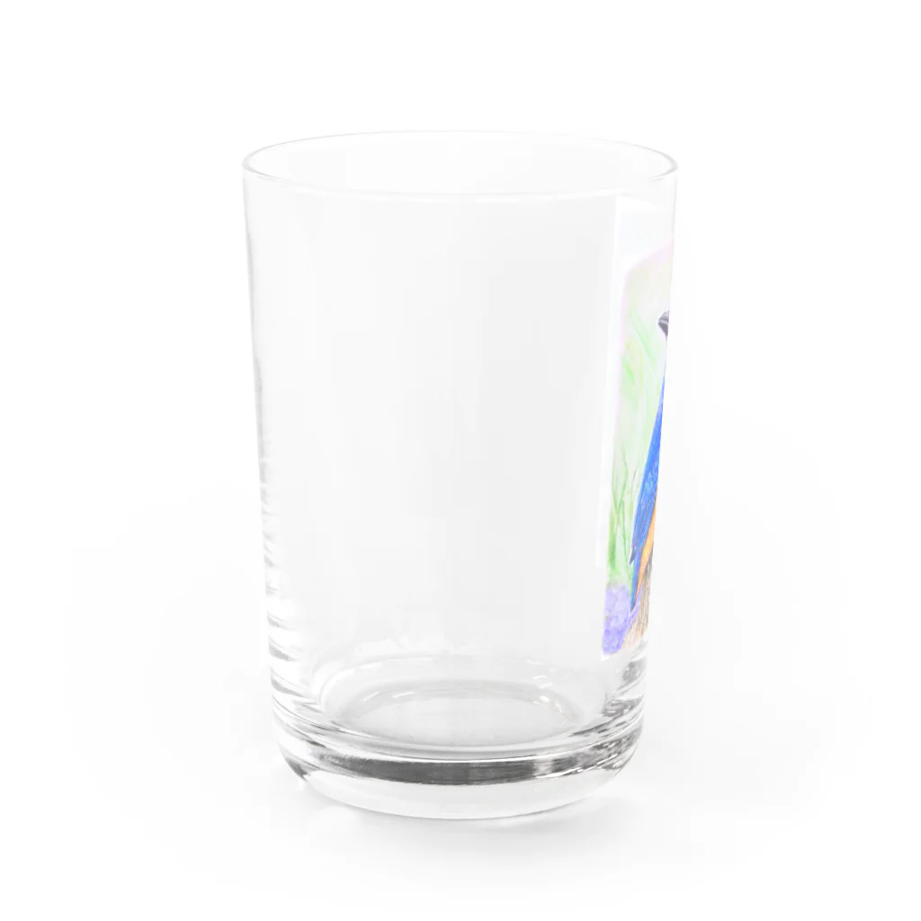 TOMO工房のグラスのカワセミ Water Glass :left