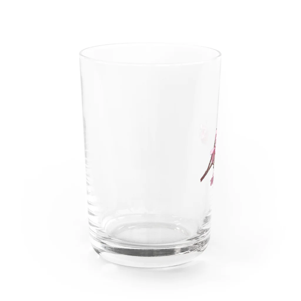 SOUTH ISLAND BLUE 沖縄店のサクラNAKIJINSON Water Glass :left